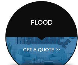 Insurance